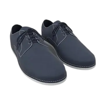 Canvas Skate Shoes